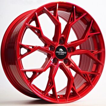 Forzza Titan Candy Red