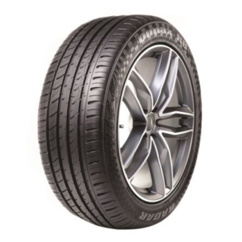 285/40R21 109Y Radar Dimax R8+ XL kesärengas